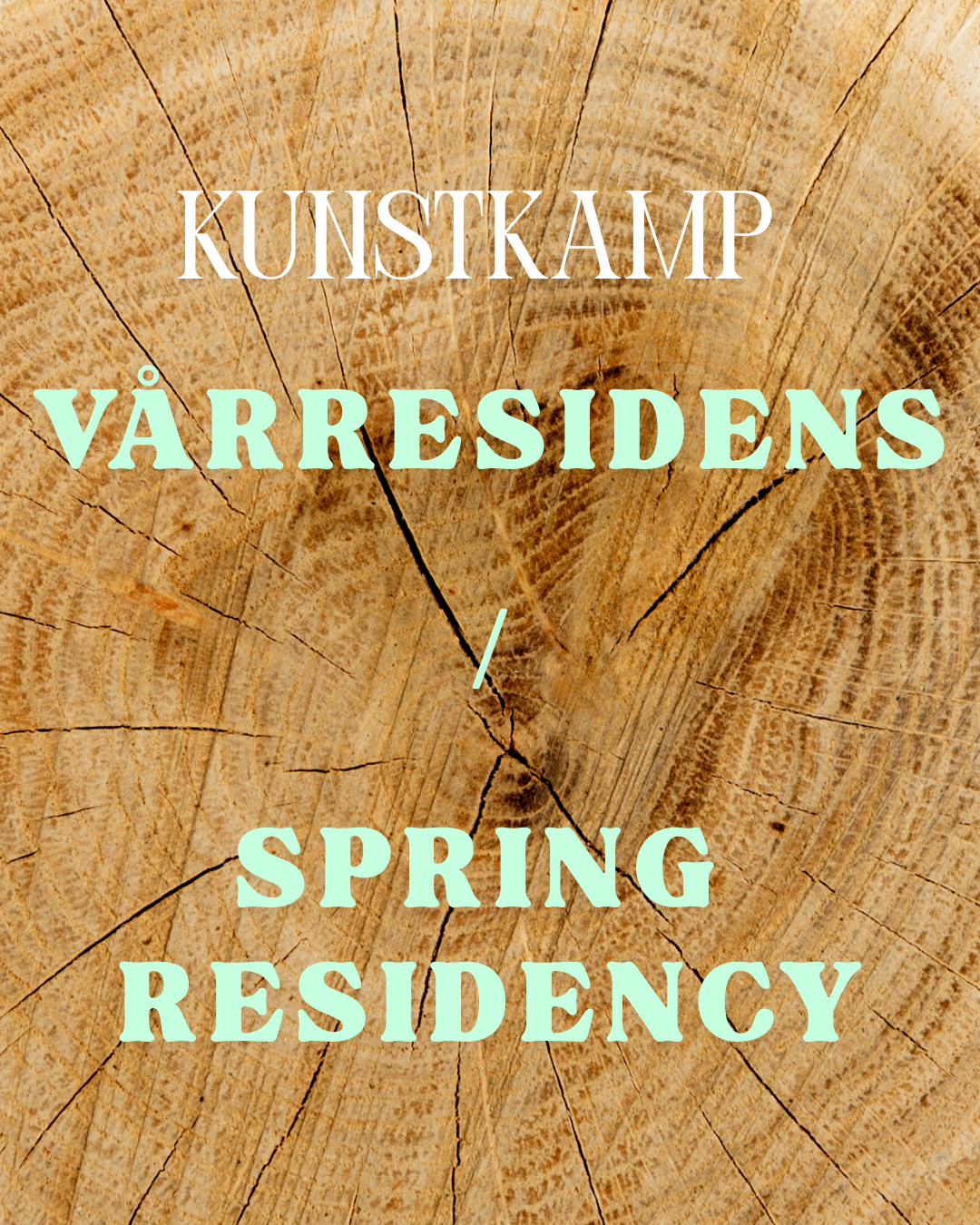 Vår residens for unge scenekunstnere